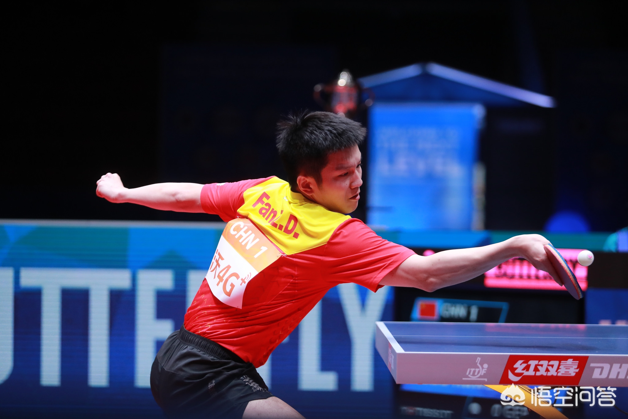 尤为珍贵 尤为珍贵